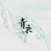 祖瑜兄 - 青衣 - Single